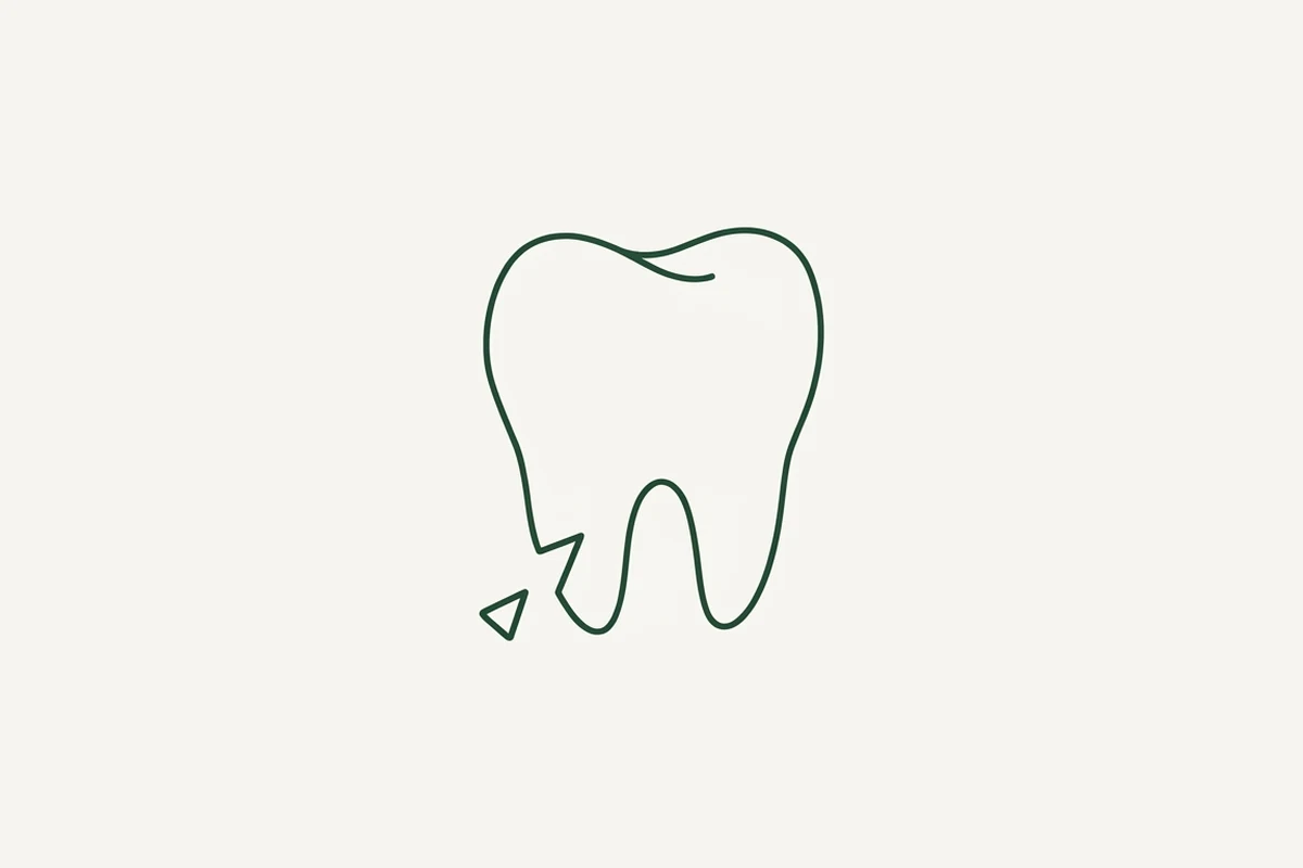 Un dente disegnato a tratto continuo con un angolo mancante, e la scheggia caduta accanto